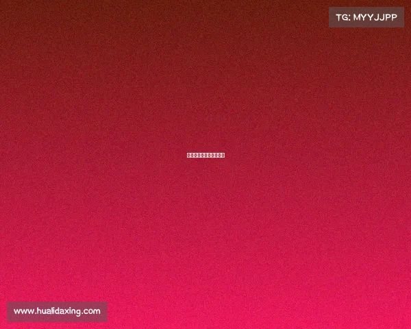 义乌有哪些搏击赛事比赛