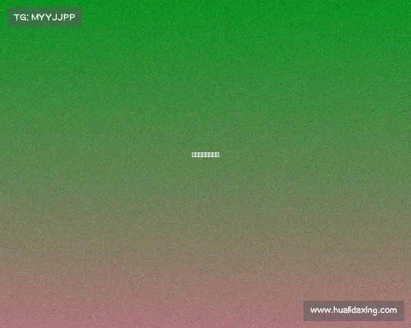 全国排球业余联赛