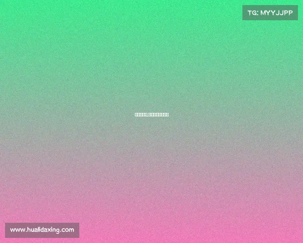 格斗赛事网,格斗赛事在线直播