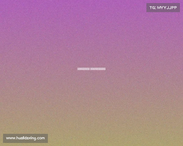 综合格斗顶级赛事 综合格斗最高级别赛事